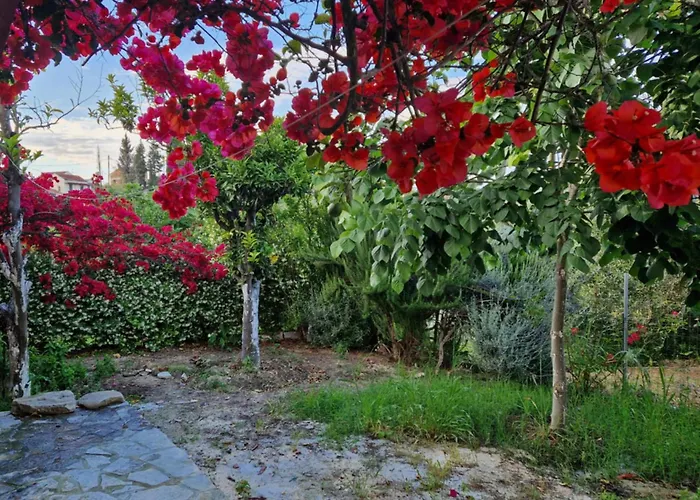 Kantouni Mezamor Lefkimmi (Corfu)